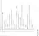 Fig. 35 - Intelligent path selection and load balancing