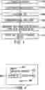 Fig. 06 - System and method for providing a social media shopping experience