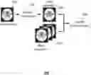 Fig. 01 - Visual Explanation of Classification
