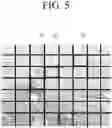 Fig. 06 - Power system for display apparatuses