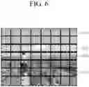 Fig. 07 - Power system for display apparatuses