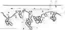 Fig. 01 - ELECTRODE BODY, ELECTROLYTIC CAPACITOR PROVIDED WITH ELECTRODE BODY, AND METHOD FOR PRODUCING ELECTRODE BODY