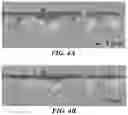 Fig. 04 - ELECTRODE BODY, ELECTROLYTIC CAPACITOR PROVIDED WITH ELECTRODE BODY, AND METHOD FOR PRODUCING ELECTRODE BODY