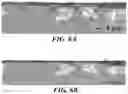Fig. 06 - ELECTRODE BODY, ELECTROLYTIC CAPACITOR PROVIDED WITH ELECTRODE BODY, AND METHOD FOR PRODUCING ELECTRODE BODY