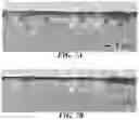 Fig. 07 - ELECTRODE BODY, ELECTROLYTIC CAPACITOR PROVIDED WITH ELECTRODE BODY, AND METHOD FOR PRODUCING ELECTRODE BODY