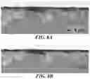 Fig. 08 - ELECTRODE BODY, ELECTROLYTIC CAPACITOR PROVIDED WITH ELECTRODE BODY, AND METHOD FOR PRODUCING ELECTRODE BODY