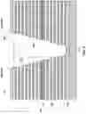 Fig. 05 - Microelectronic devices with a polysilicon structure above a staircase structure, and related methods