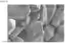 Fig. 04 - ANODE FOR LITHIUM SECONDARY BATTERY AND METHOD FOR MANUFACTURING SAME