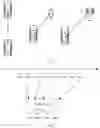 Fig. 02 - COMMUNICATION METHOD AND SYSTEM, AND TERMINAL APPARATUS