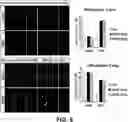 Fig. 07 - COMPOSITION FOR PREVENTING OR TREATING NEUROPSYCHOLOGIC DISEASE, COMPRISING MANF