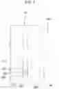 Fig. 08 - Prefabricated shelf