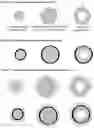 Fig. 02 - MULTIPARTICULATE DOSAGE FORMS COMPRISING DEUTETRABENAZINE