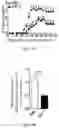 Fig. 02 - PHARMACEUTICAL COMPOSITION CONTAINING INSULIN-LIKE GROWTH FACTOR-2 AND USE THEREOF