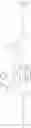 Fig. 85 - TRANSGLUTAMINASE-MEDIATED CONJUGATION