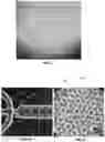 Fig. 02 - Apparatuses for purification of gel droplets supporting biological tissue