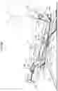 Fig. 34 - Rotating device for vehicle interior item, and rotating device for vehicle seat