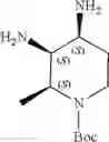 Fig. 167 - NOVEL AMINE DERIVATIVES