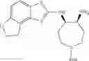 Fig. 216 - NOVEL AMINE DERIVATIVES