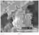 Fig. 04 - pH-responsive nano-gel plugging material, and preparation method therefor and use thereof
