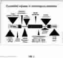 Fig. 02 - COMPOSITIONS AND METHODS OF USE OF CRISPR-CAS SYSTEMS IN NUCLEOTIDE REPEAT DISORDERS