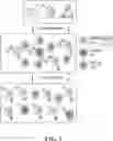 Fig. 02 - COMPOSITIONS AND METHODS OF GENOMIC MODIFICATION OF CELLS AND USES THEREOF