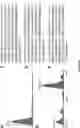Fig. 07 - TRANSGENIC BACTERIA WITH EXPANDED AMINO ACID USAGE AND NUCLEIC ACID MOLECULES FOR USE IN THE SAME