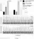Fig. 06 - ANALYSIS OF NUCLEIC ACIDS ASSOCIATED WITH EXTRACELLULAR VESICLES