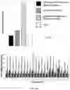 Fig. 07 - ANALYSIS OF NUCLEIC ACIDS ASSOCIATED WITH EXTRACELLULAR VESICLES