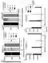 Fig. 07 - RNA templated ligation