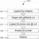 Fig. 01 - NUCLEIC ACID ENRICHMENT METHOD