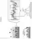 Fig. 07 - Multiplex Q-PCR Arrays