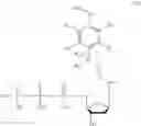 Fig. 04 - NUCLEIC ACID SEQUENCING USING EVANESCENT WAVE IMAGING