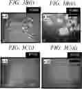 Fig. 06 - METHOD OF PREPARING SINGLE CRYSTAL PEROVSKITE ON FLEXIBLE SUBSTRATE