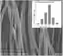 Fig. 01 - Method for modifying polyester by swelling agent combined with cutinase