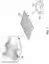 Fig. 09 - Imaging assisted scanning spectroscopy for gem identification
