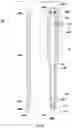 Fig. 32 - PIPETTING APPARATUS AND METHODS