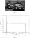 Fig. 02 - Lidar Anti-Interference Method and Apparatus