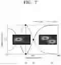 Fig. 08 - PROGRAMMABLE PHOTONIC CIRCUIT