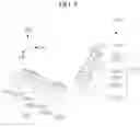 Fig. 06 - LENS DRIVER