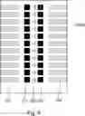 Fig. 07 - IMAGE FORMING APPARATUS