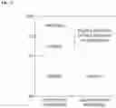 Fig. 12 - PROVISIONING METHOD FOR CLOUD SERVICE AND SYSTEM THEREOF