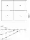 Fig. 07 - SYSTEM AND METHOD FOR AN ADJUSTABLE NEURAL NETWORK