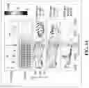 Fig. 16 - Reconfigurable wavelength selective splitter