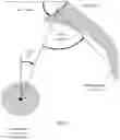 Fig. 02 - System and method for analyzing acetabular cup position
