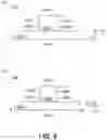 Fig. 07 - Wiring board and method for manufacturing wiring board