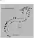 Fig. 05 - PARTHENOCARPIC WATERMELON PLANTS