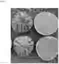 Fig. 09 - PARTHENOCARPIC WATERMELON PLANTS