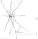 Fig. 07 - Angle-Adjustable Umbrella without Rope