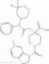 Fig. 320 - ATR antagonists and uses thereof