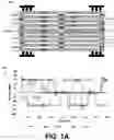 Fig. 02 - COMPACT STRESS WAVEGUIDE